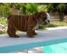 Englische Bulldogge Welpen